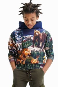 Desigual Digitálny print animal hoodie Mikiny Chlapcenske | MVSC-45607